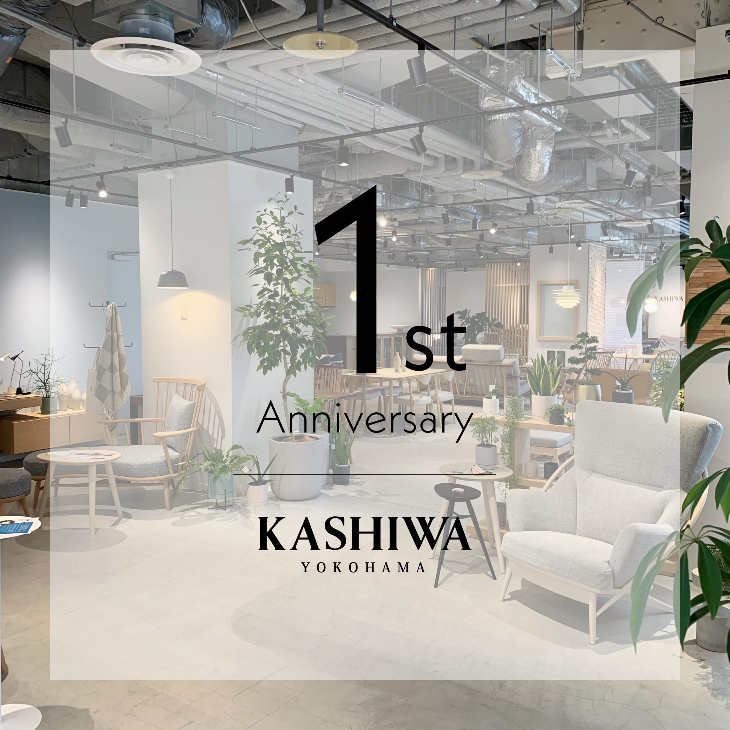 横浜ショップ一周年