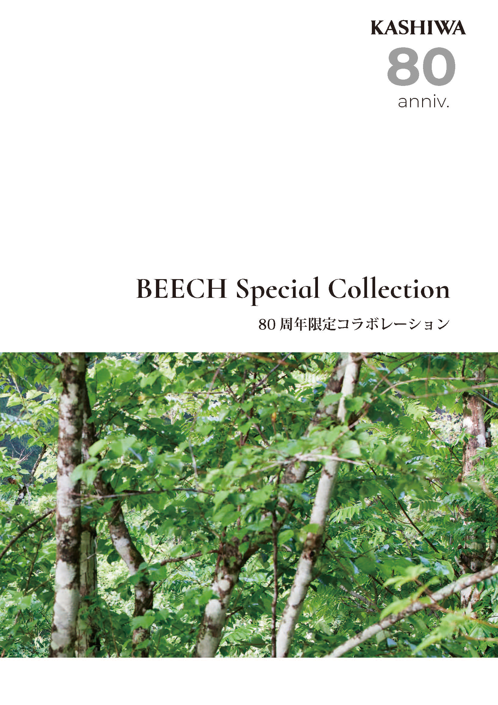 ビーチ スペシャル コレクション ご好評につき 一部商品 販売期間延長 国産無垢家具は飛騨高山発の家具メーカー KASHIWA